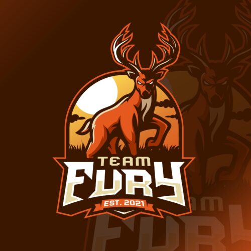 Team FurY