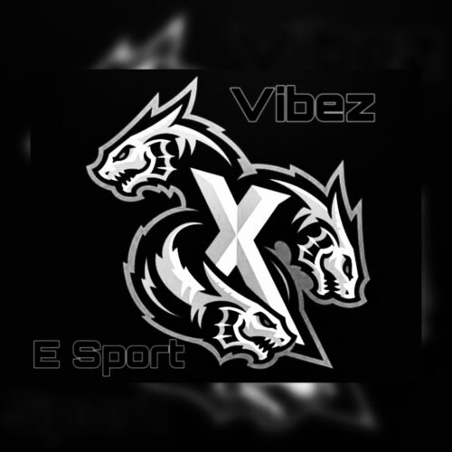 Vibez eSports