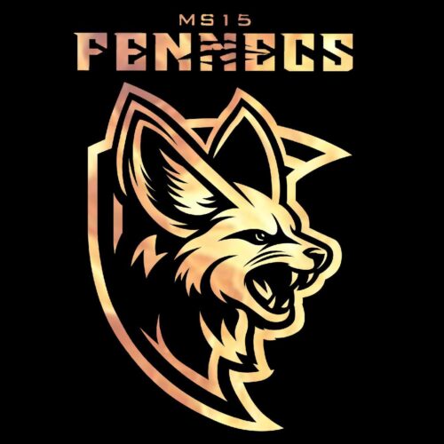 MS-15 Fennecs