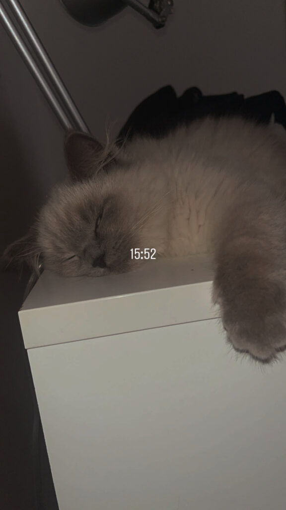 IMG 0208.jpeg