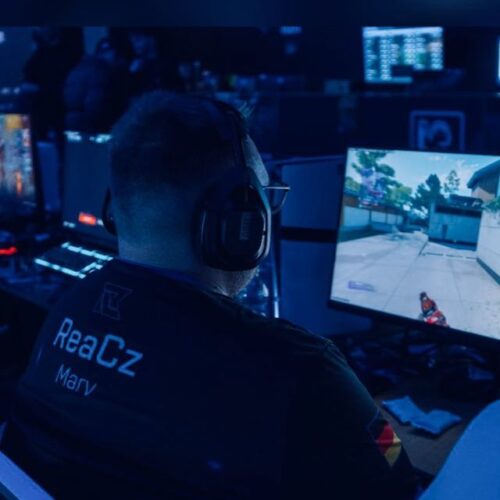 DcProfilPicture.jpg