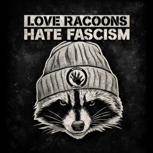 Racoon under 400kb.jpg